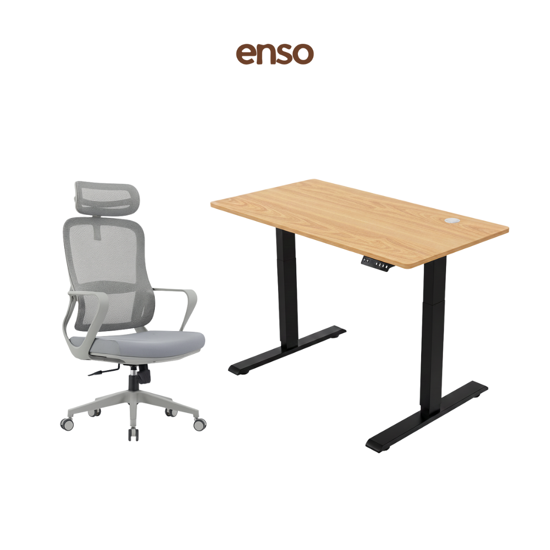 CALORA Ergonomic Office Chair + ENSO Classic Standing Desk Bundle