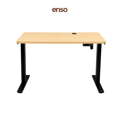 ENSO Classic Standing Desk - Pine