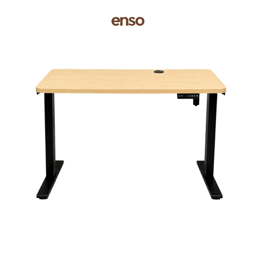 ENSO Classic Standing Desk - Pine
