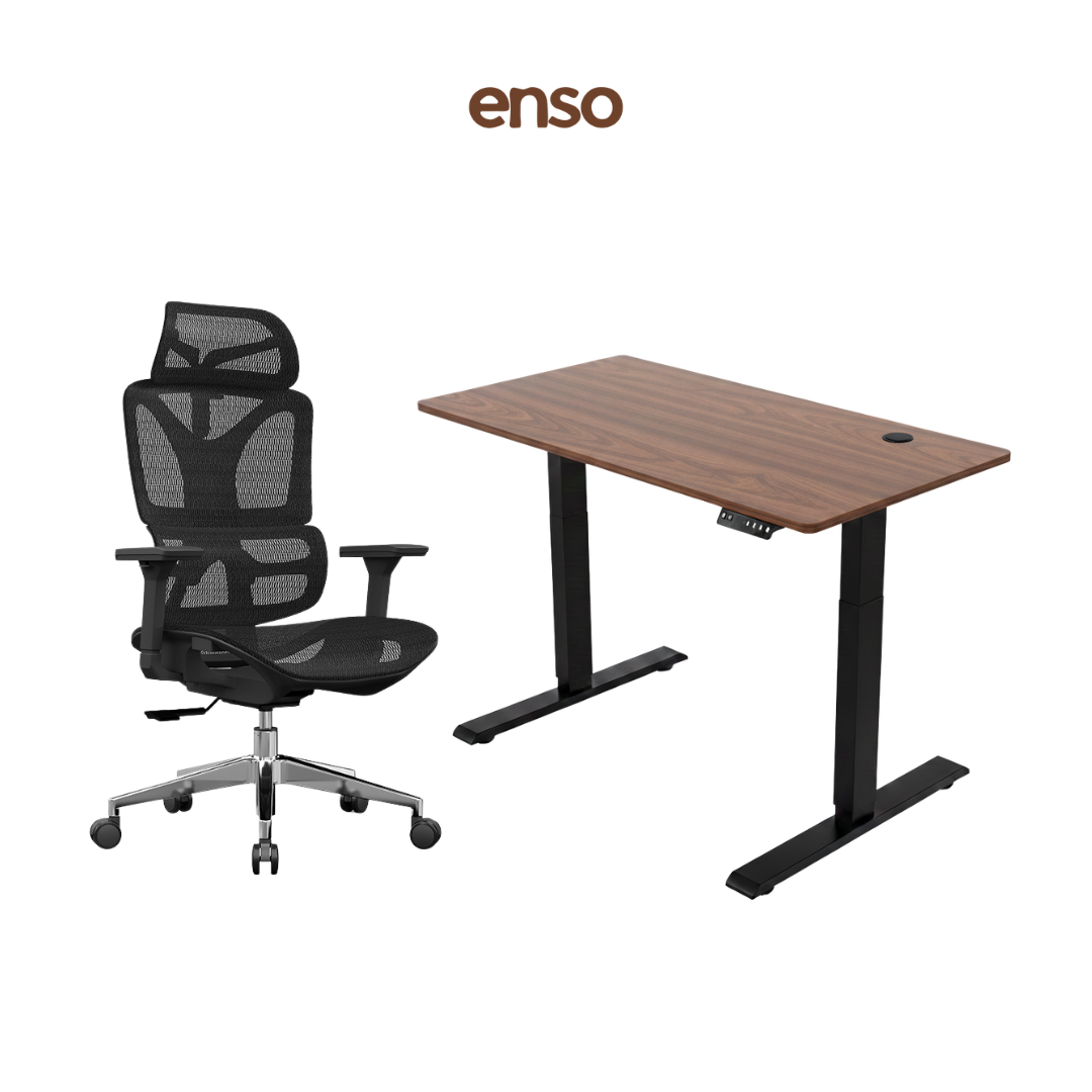 SELORA Ergonomic Office Chair + ENSO Classic Standing Desk Bundle