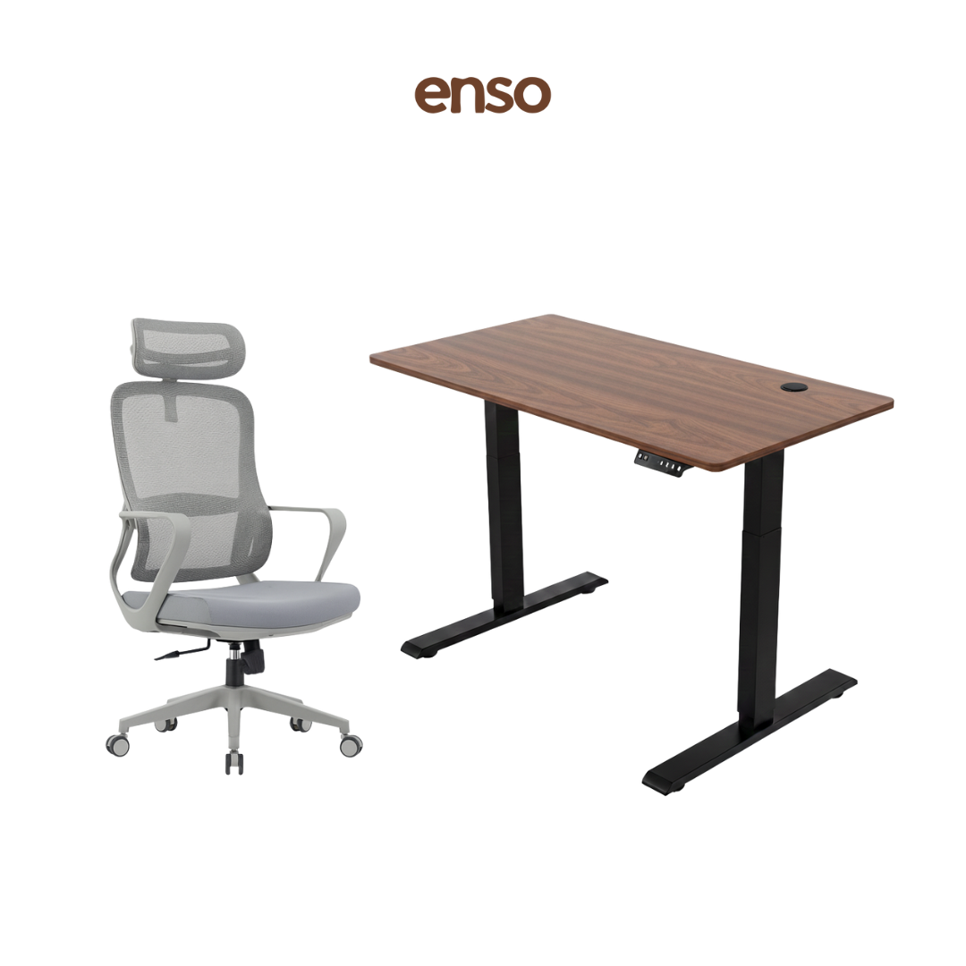 CALORA Ergonomic Office Chair + ENSO Classic Standing Desk Bundle