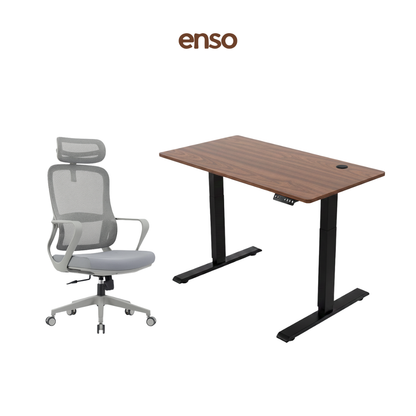 CALORA Ergonomic Office Chair + ENSO Classic Standing Desk Bundle