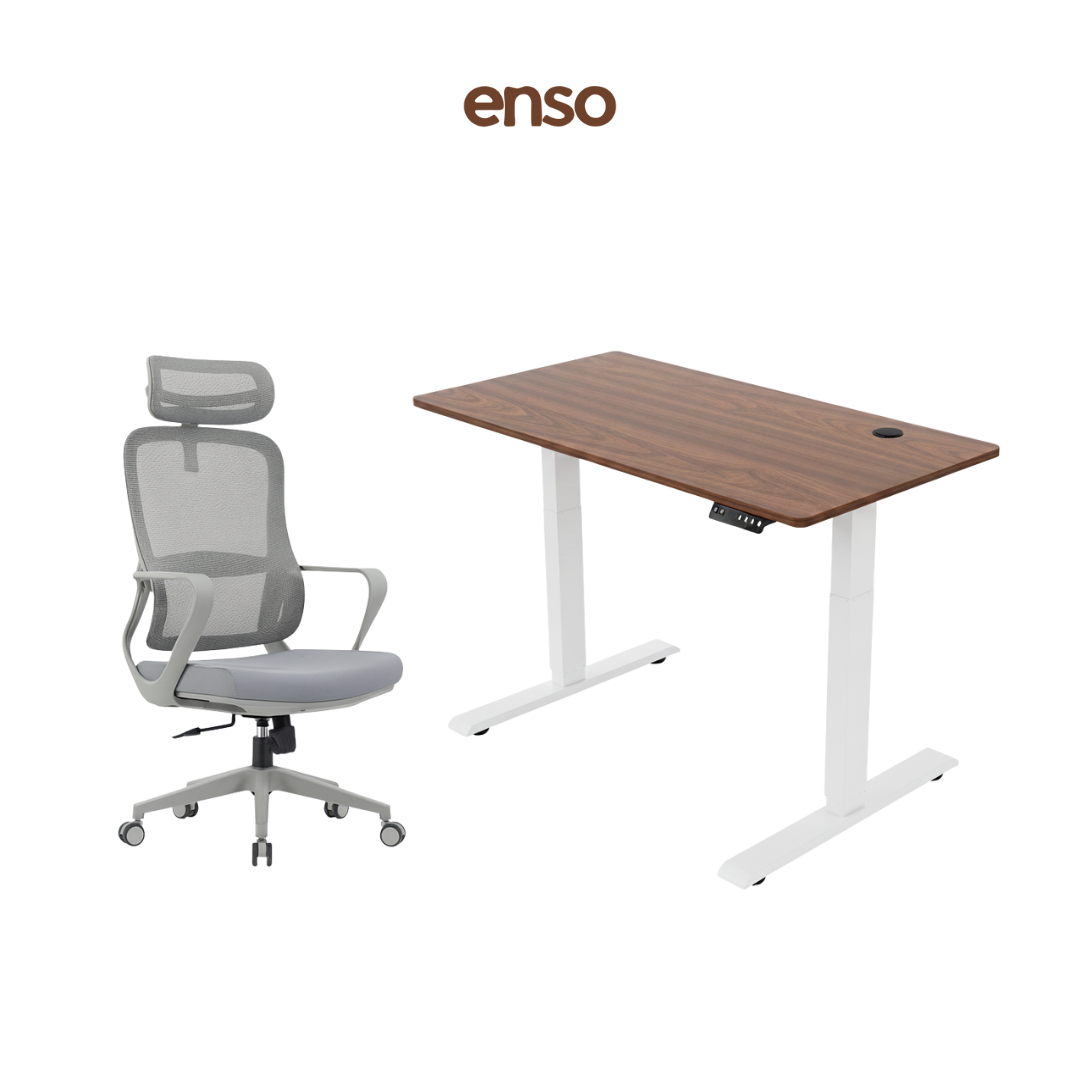 CALORA Ergonomic Office Chair + ENSO Classic Standing Desk Bundle