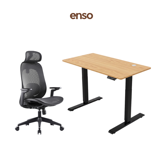GALORA Ergonomic Office Chair + ENSO Classic Standing Desk Bundle