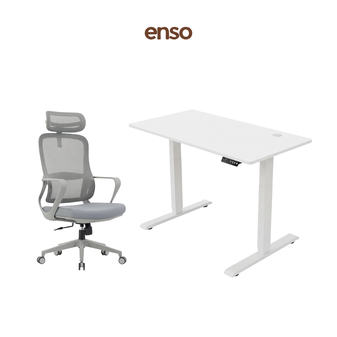 CALORA Ergonomic Office Chair + ENSO Classic Standing Desk Bundle