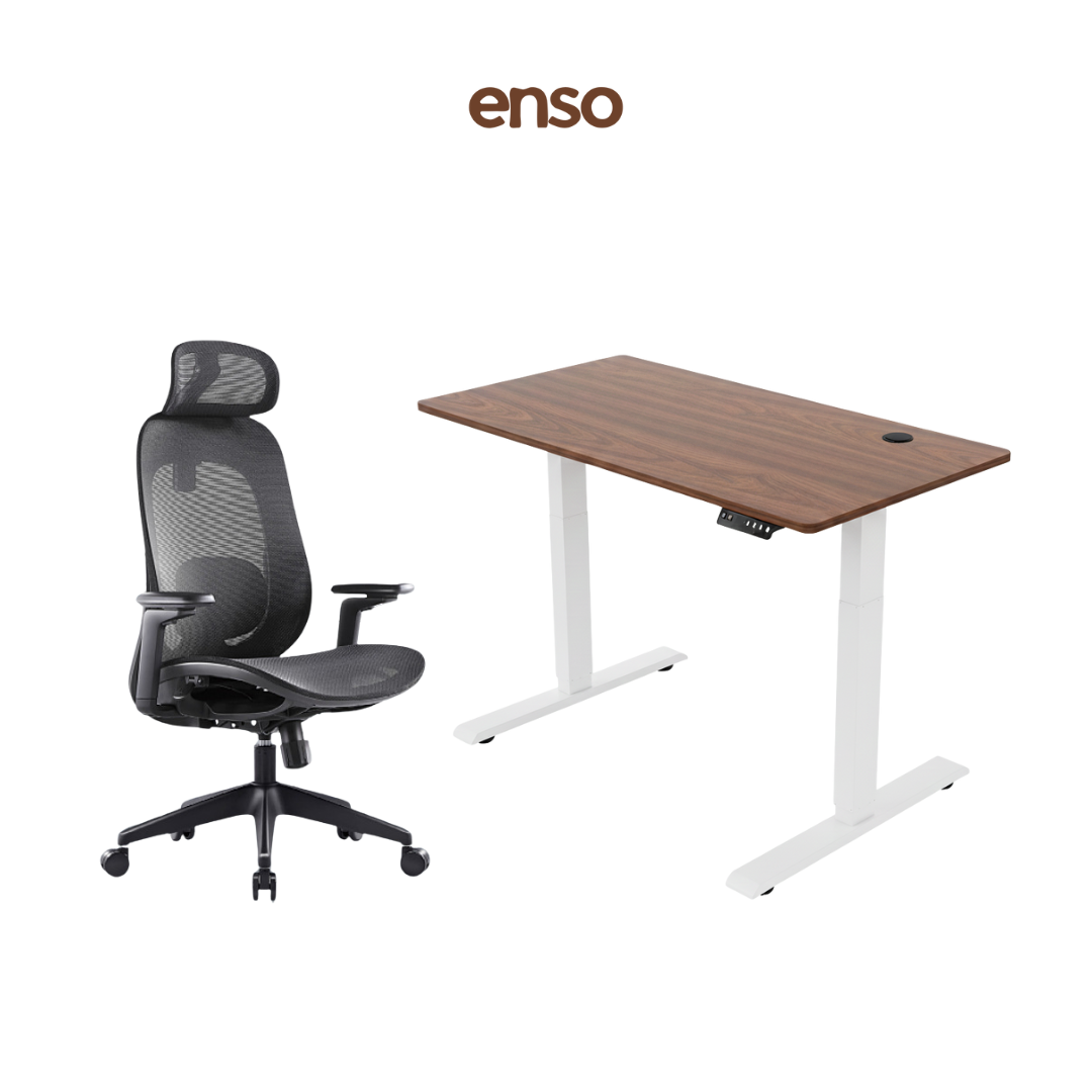 GALORA Ergonomic Office Chair + ENSO Classic Standing Desk Bundle