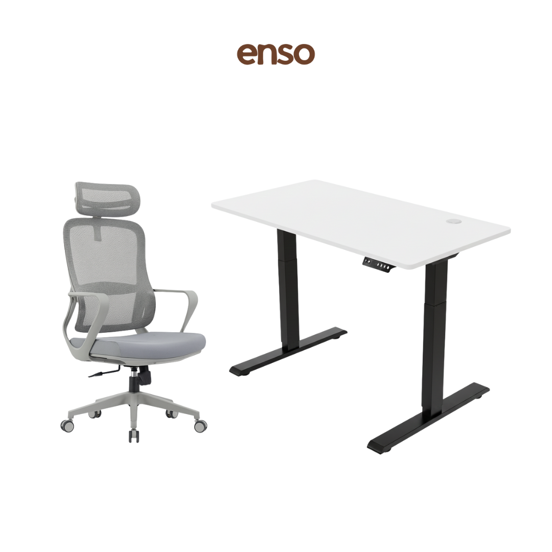 CALORA Ergonomic Office Chair + ENSO Classic Standing Desk Bundle