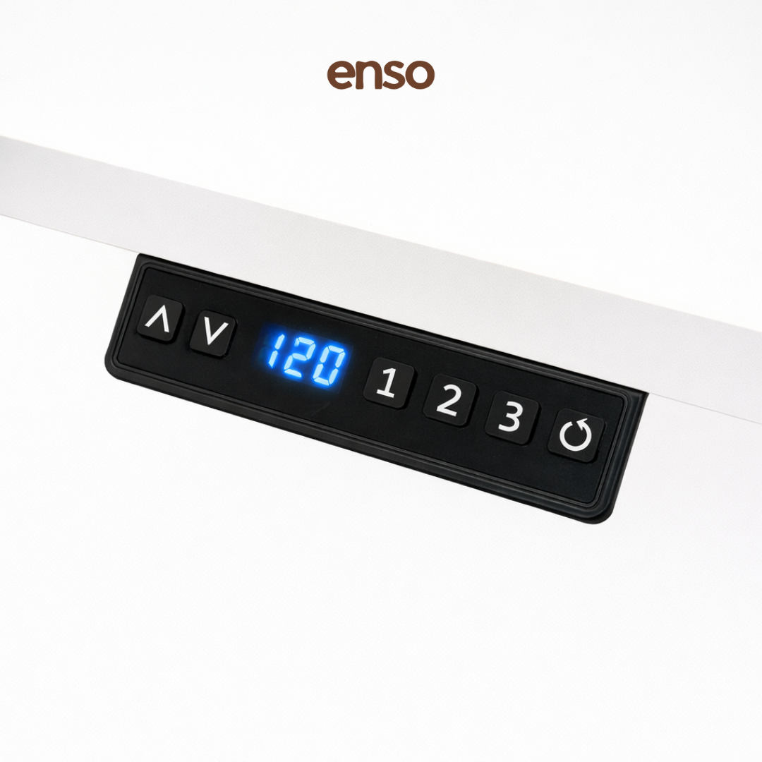 GALORA Ergonomic Office Chair + ENSO Classic Standing Desk Bundle